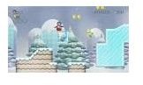 Super Mario Bros Star Coins, World 3 & 4, Cheats Guide for Wii
