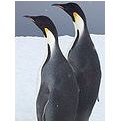 90px-Couple emperor penguins