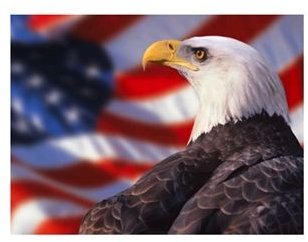 patriotic-backgrounds-eagleflag