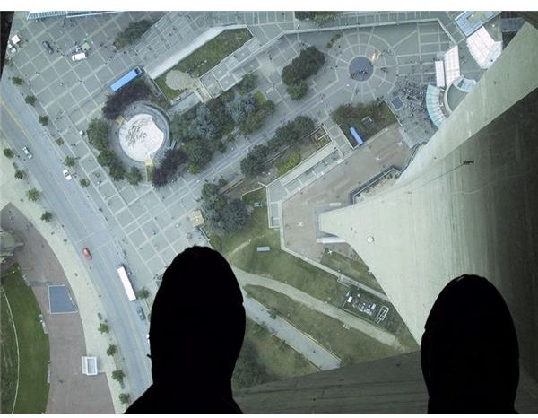 Understanding the Causes of Acrophobia