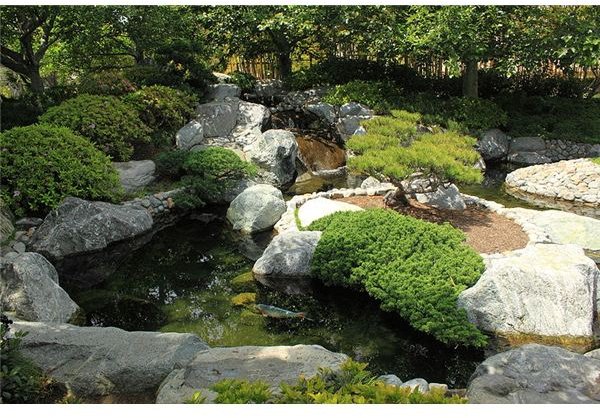 800px-Japanese Friendship Garden Path koi pond 4