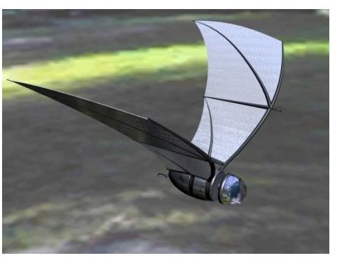 COM-BAT Solar-powered robotic spy plane