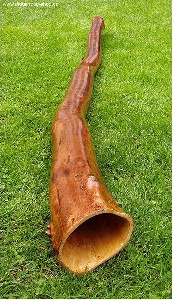 343px-Didgeridoo-grass