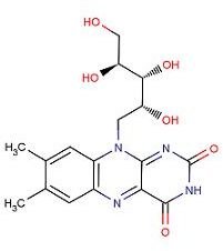 What Vitamins Are Needed During Pregnancy