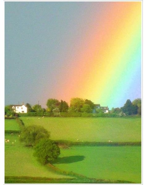 Two Fun Preschool Lesson Plans on Colors For A Rainbow of Learning