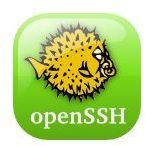 How to SSH Into Your iPhone